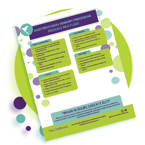 Preview of Auditory Visual Red Flags Guide provided by Communication Clubhouse Therapy