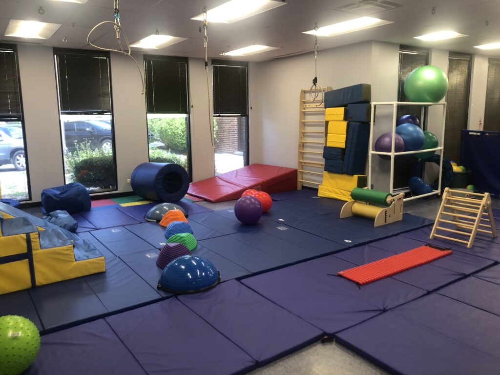 Downers Grove clinic therapy gym