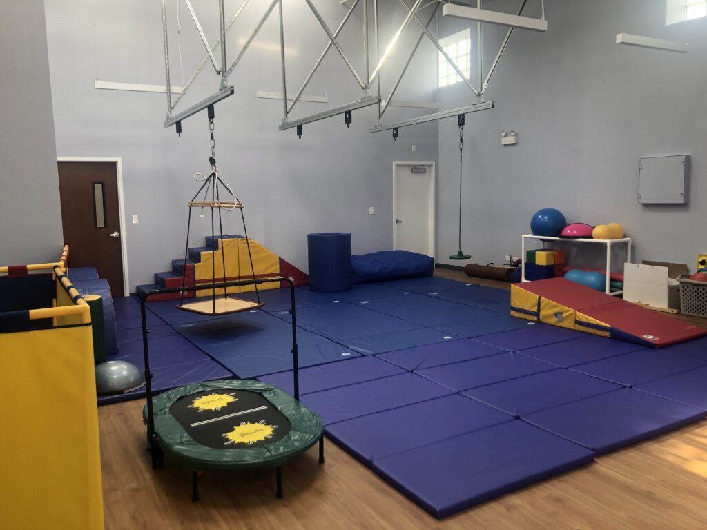 North Mayfair clinic sensory gym with swings and mats